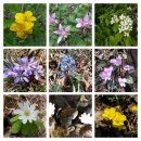 월악산 산아래 이미지