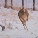 명재목장 이미지