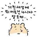 탁옥로92회