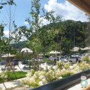 평창대로 | 8월 평창여행 | 재방문 하고싶은 평창 베이커리 카페 트리고