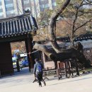 방원가든 | [대자연 일기] 창덕궁, 창덕궁 후원, 궐내각사 ... 궁궐 기행