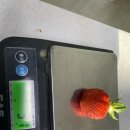 보광농장 이미지