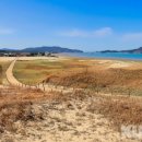 해안사구 이미지