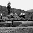 서울시립대학교 박물관 이미지