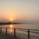 로뎀나무펜션 이미지