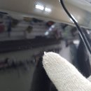 부성광택