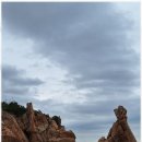 파트너 행정사 사무소 이미지