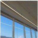 테스휘트니스센타 이미지