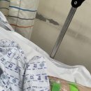 네네치킨(번동점) | [네네치킨 번동점] 네네치킨 스노윙, 매콤치즈스노윙 반반 먹어 본 후기