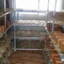 탑골농원 이미지