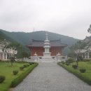 삼성사 이미지