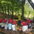 홍천국유림관리소 이미지