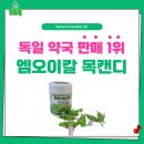 신혜선x공명 주연 tvN 은밀한 감사 속 국민 목캔디 [엠오이칼 목캔디]