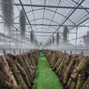 엠유하우스 이미지