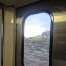 레몬선단점 | 나홀로 대만 1일차(타이난 이동/우육면/션농지에/하야시백화점)