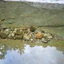 수류화개 이미지