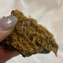 몽당1 | [울산] 울산 두쫀쿠 파는 곳 “당몽당” 두바이초콜릿 솔직후기