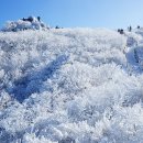 1월20일 토요당일 남덕유산/눈꽃 산행 이미지