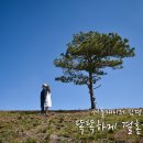 좋은만남결혼정보업체
