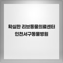 리브동물의료센터 | 확실한 리브동물의료센터 인천서구동물병원