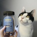 바다고양이식탁 이미지