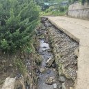 두지리 세천 이미지