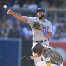 대성펫코 이미지