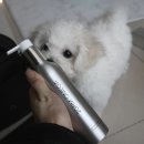 (주)해피브런치 이미지