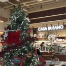 석전의원 | 까사부사노 창원점 가오픈 방문후기