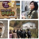 이성자농장 이미지