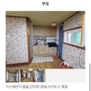 깊은산속민박 | 강원도 춘천 산속 독채 민박에서 촌캉스 후기 : 매네미민박