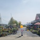 혜성펜션 이미지