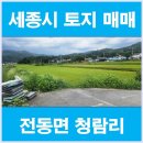 우리땅공인중개사사무소 이미지