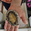 비치파크모텔 이미지