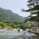강원도 영월 계곡캠핑장 추천 &#39;내리계곡솔밭캠핑장&#39;(솔밭동 19번사이트)