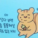 춘천집닭갈비 이미지