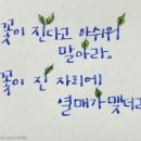 실버라인댄스 이미지