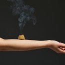 동의보감자동차 이미지