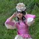 F8029 Daum카페