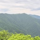 고고씽 Daum카페
