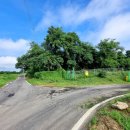 텃골축산 이미지