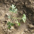 종명농장 이미지