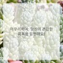 마음한방병원 이미지