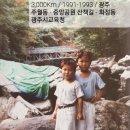 벌교태인 이미지