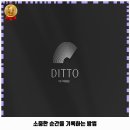 문막셀프세차장 | 원주시 문막읍 세차장 디토 디테일링 가격 및 후기 추천 리뷰 주차 예약 알아봐요