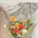 라로소아