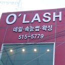 오래쉬(O’LASH) 네이버블로그