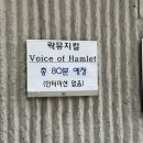 보이스오브유