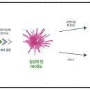 구로-구로-구로-1633 이미지