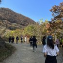 추월농장2 이미지